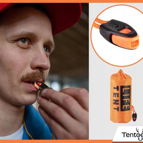 17d77299c9feec135eae1854d2b41be3-2.jpg 17d77299c9feec135eae1854d2b41be3-2.jpg